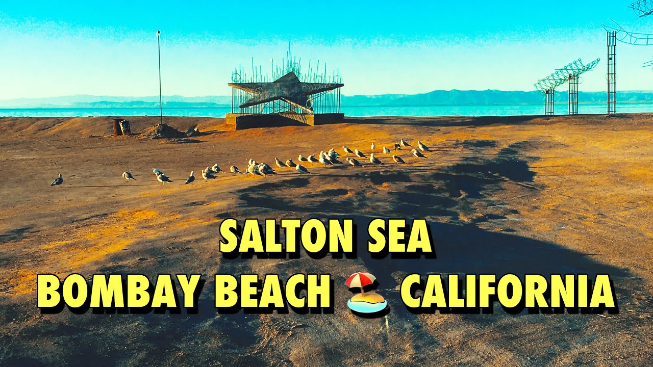 Salton Sea Bombay Beach 🏖 California YouTube