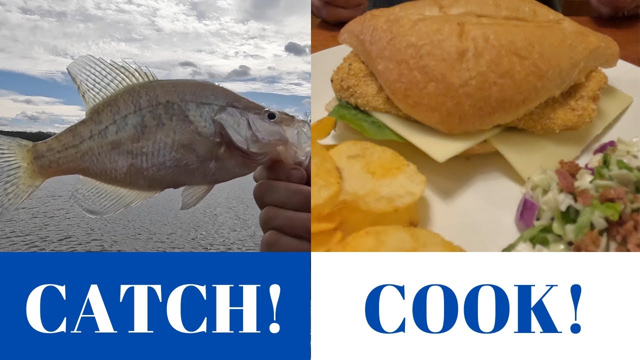 Sniping Winter Crappie With Livescope On Tellico Lake! Part 3! (CATCH