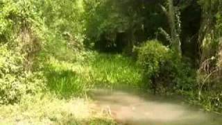 inversiones en salta, argentina, brindser, la cienaga