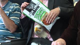 Eagle Pops Out Of Womans Stomach