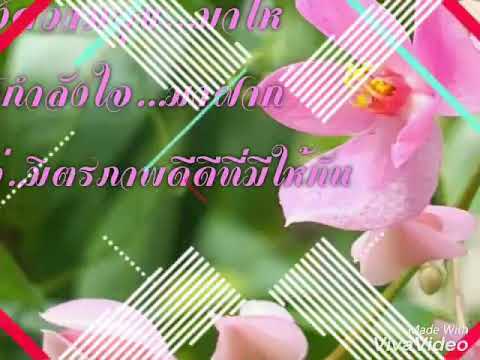 สวัสดีวันอังคารสีชมพู "เสียงของหัวใจ"