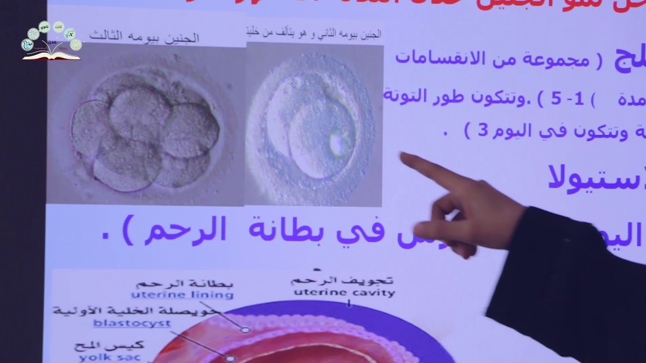 علم الأحياء | الأخصاب وتكوين الجنين | تكوين الجنين| الجزء2 part
