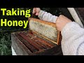 Removing bees from honey supers fast