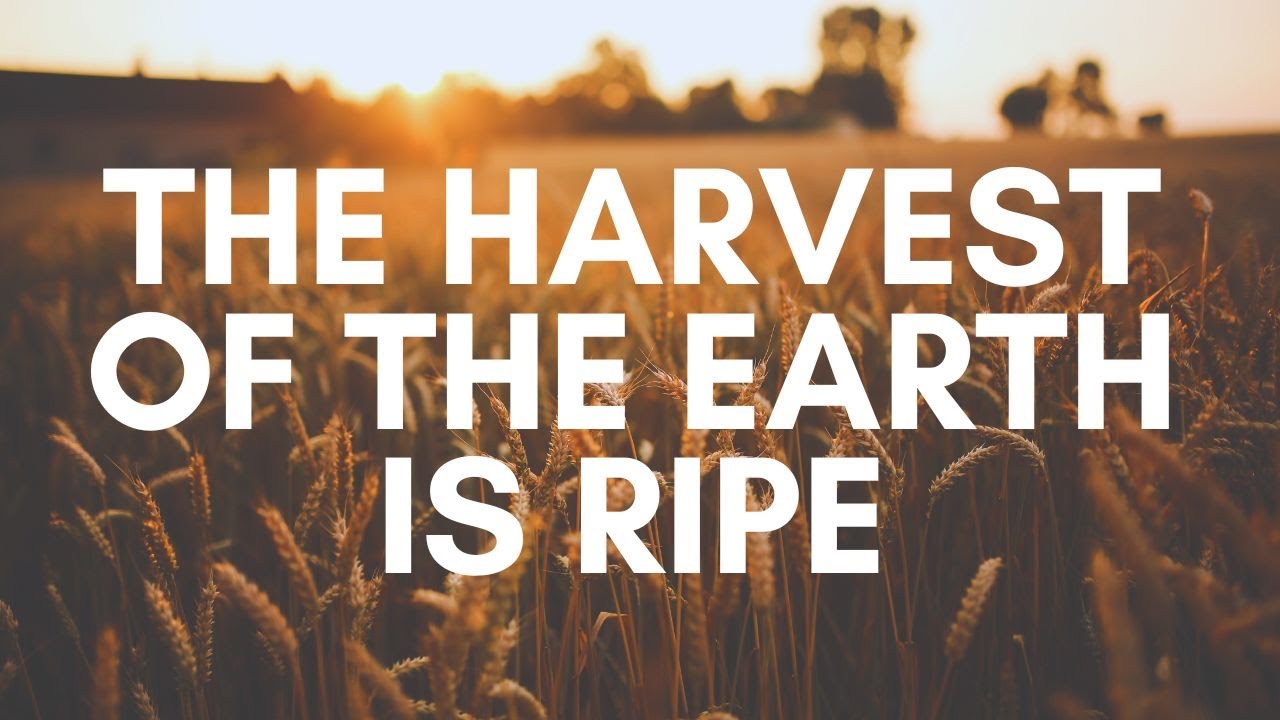 26-0118 - Bro Rattan George | 