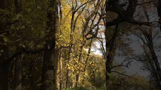 IMG 4125 J
