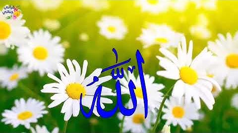 تعرف على أحكام سورة المجادلة الوجه الثاني #علم_وعمل