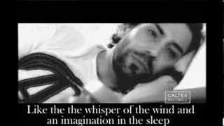 Saeed Mohammadi - Derakhte Bi Sayeh Shadowless Tree Video With English Translation