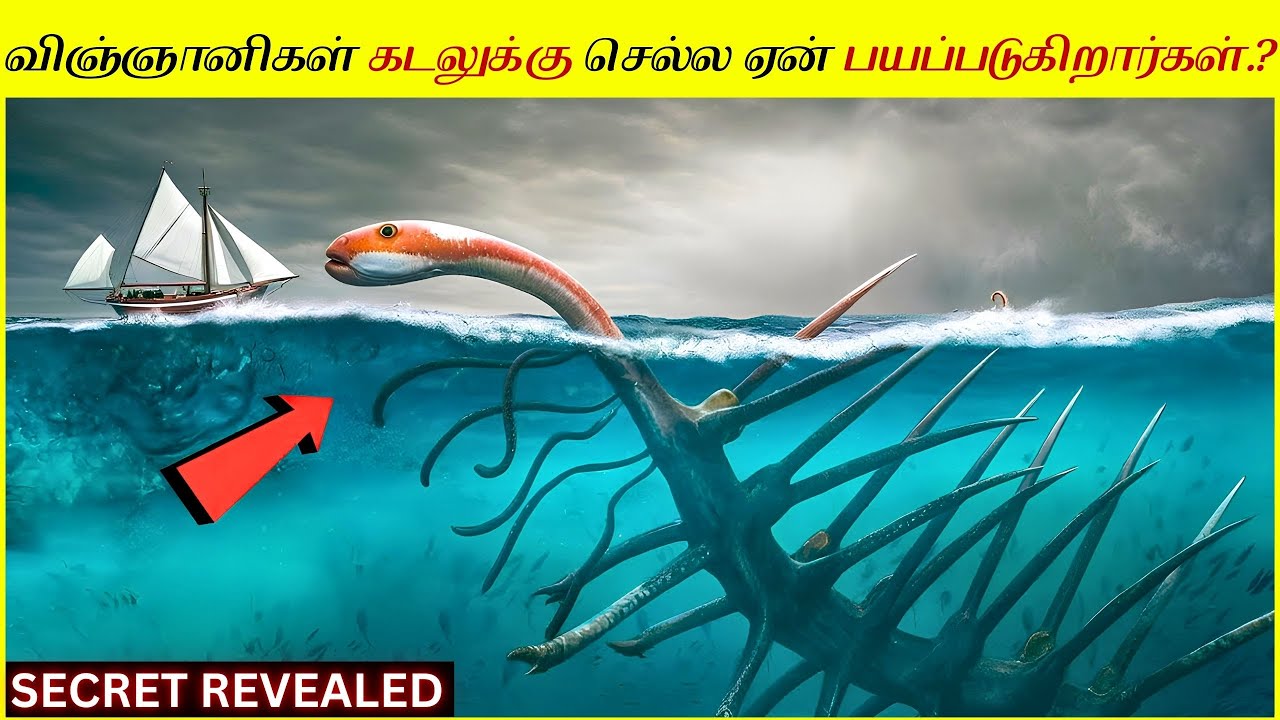 ஆழ்கடலில் விஞ்ஞானிகள் பார்த்த வினோதமான உயிரினம்.! Hidden Mystery About The Deep Sea │Deepest Ocean