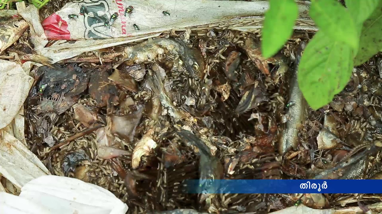 Solid Waste Management Facility - Malappuram