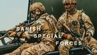Danish Special Forces 2020