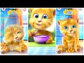 My talking ginger cat funny new movements update ep 82