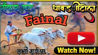 धवडटल शकर पट Fainel क सर जड
