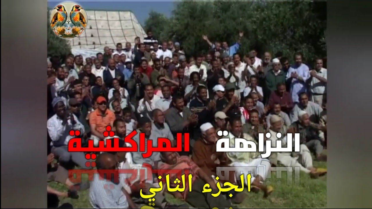 النزاهة المراكشية 02: مع كبار الكسابة لطائر الحسون و حمام الفعل الأصيل