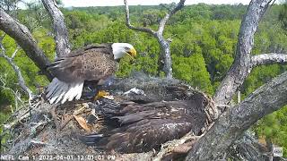 Gabrielle is upset / NEFL Cam 1 / 2022-04-01 / 12:01