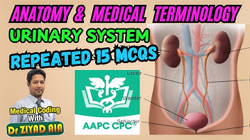 AAPC CPC Anatomie en Medische Terminologie Herhaalde Vragen