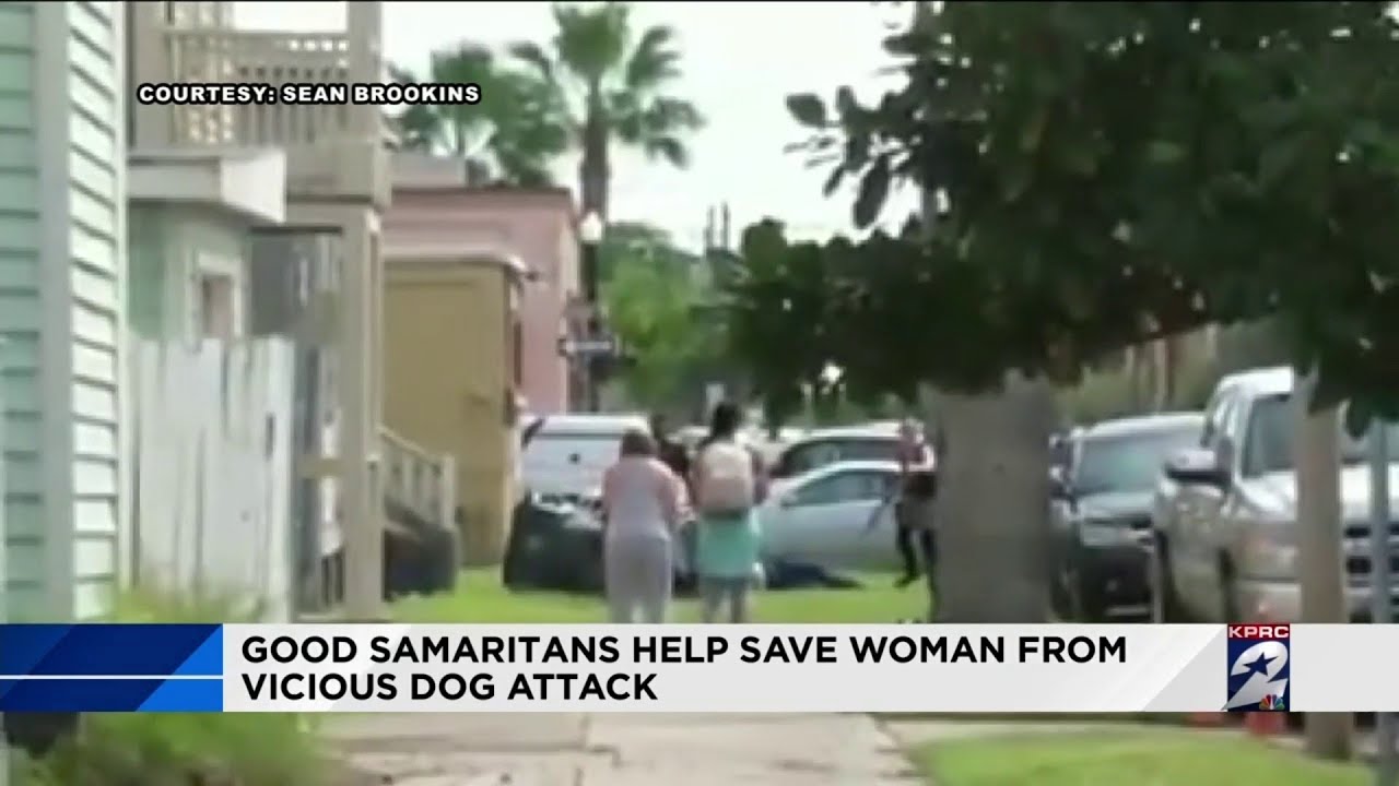 Good Samaritans help save woman from vicious dog attack - YouTube