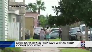 Good Samaritans help save woman from vicious dog attack