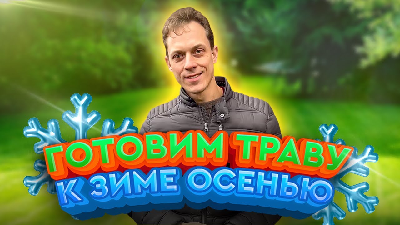 Готовим рулонный газон к зиме: подкормка, полив и последний покос || Уход: осень и зима