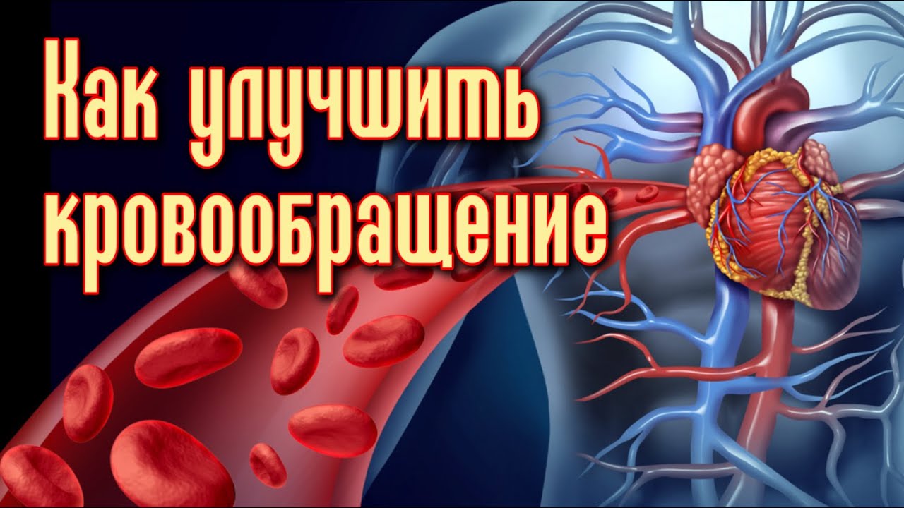 5 СПОСОБОВ УЛУЧШИТЬ КРОВООБРАЩЕНИЕ В ОРГАНИЗМЕ - YouTube