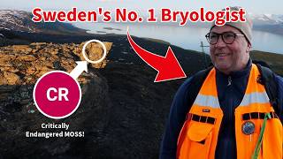 This Moss is Almost EXTINCT... | Abisko Part 2