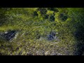 Abgetaucht beim Fliegenfischen - wie gut kann man in seiner Wathose schwimmen? Ich habe es getestet!