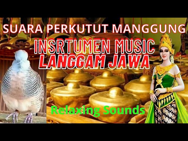 Suara Perkutut Merdu dipadukan Music Langgam Jawa‼️Menentramkan jiwa class=