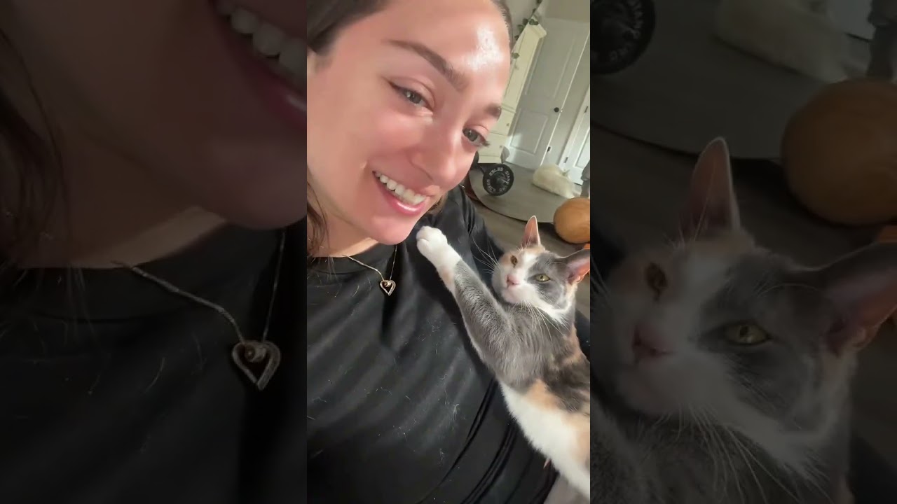 @sometimesnicolette: Она либо очень ласковая, либо очень громкая 