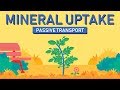 Plant Nutrition Quiz