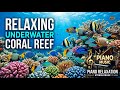 Meditation Music to Calm the Mind, Calm the Soul • Anti Stress Music