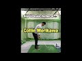 How to make Collin Morikawa's rhythm / pure iron's swing