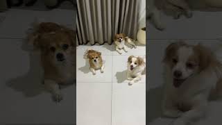 Full Video Link Below