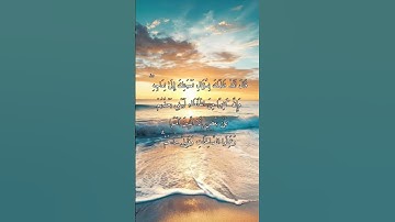 الآية (23) والآية (24) من سورة ص