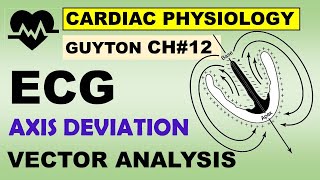 Physiology Guyton Ch#12 | VECTOR Analysis | ECG Interpretation of Muscle & Blood Flow Abnormalities