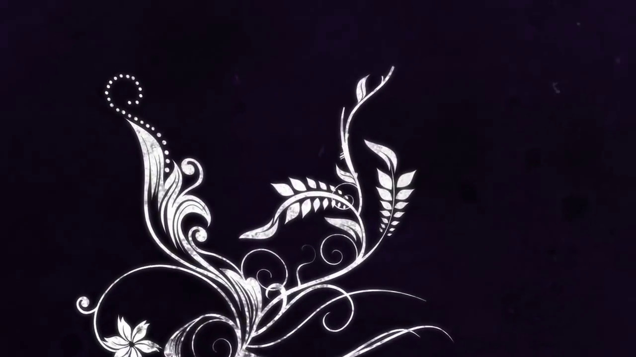 Flourish   Motion graphics animation   After Effects