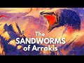 Shai-Hulud: The Sandworms of Arrakis | Anatomy and Life Cycle | DUNE Lore Explained