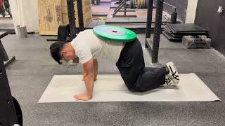 Beast Position Hold One Leg Lifted Weighted