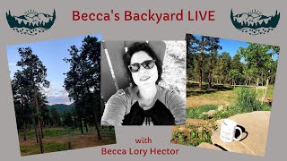 Becca's Backyard LIVE: 2/4/20