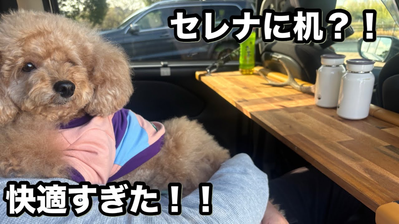 セレナプチDIY！２列目に机を載せたら快適すぎた！！