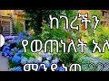 ከገረችን የወጠነለት አለመ ሚንዲነዉ