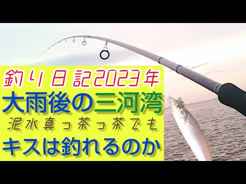 2023年6月　釣日記　台風後の三河湾でキス釣り