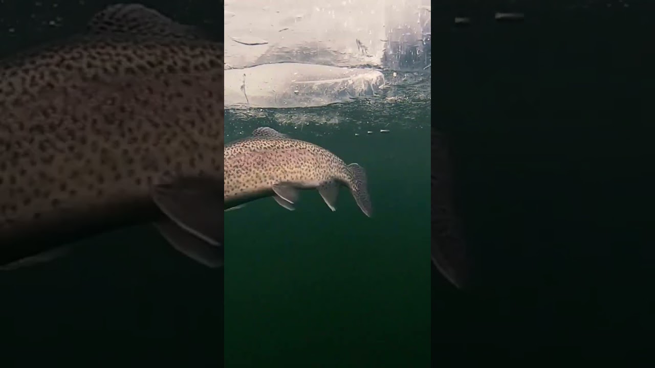 Ice Fishing we are ready 