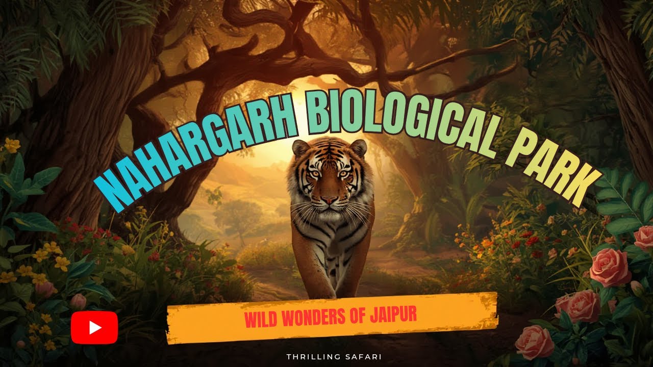 Nahargarh Biological Park Jaipur | Jaipur Wildlife Adventure 
