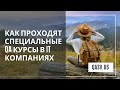 Как проходят специальные QA курсы в IT компаниях