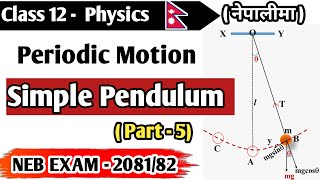 Simple Pendulum || Application of Simple Harmonic Motion in Nepali || Class 12 Physics || NEB