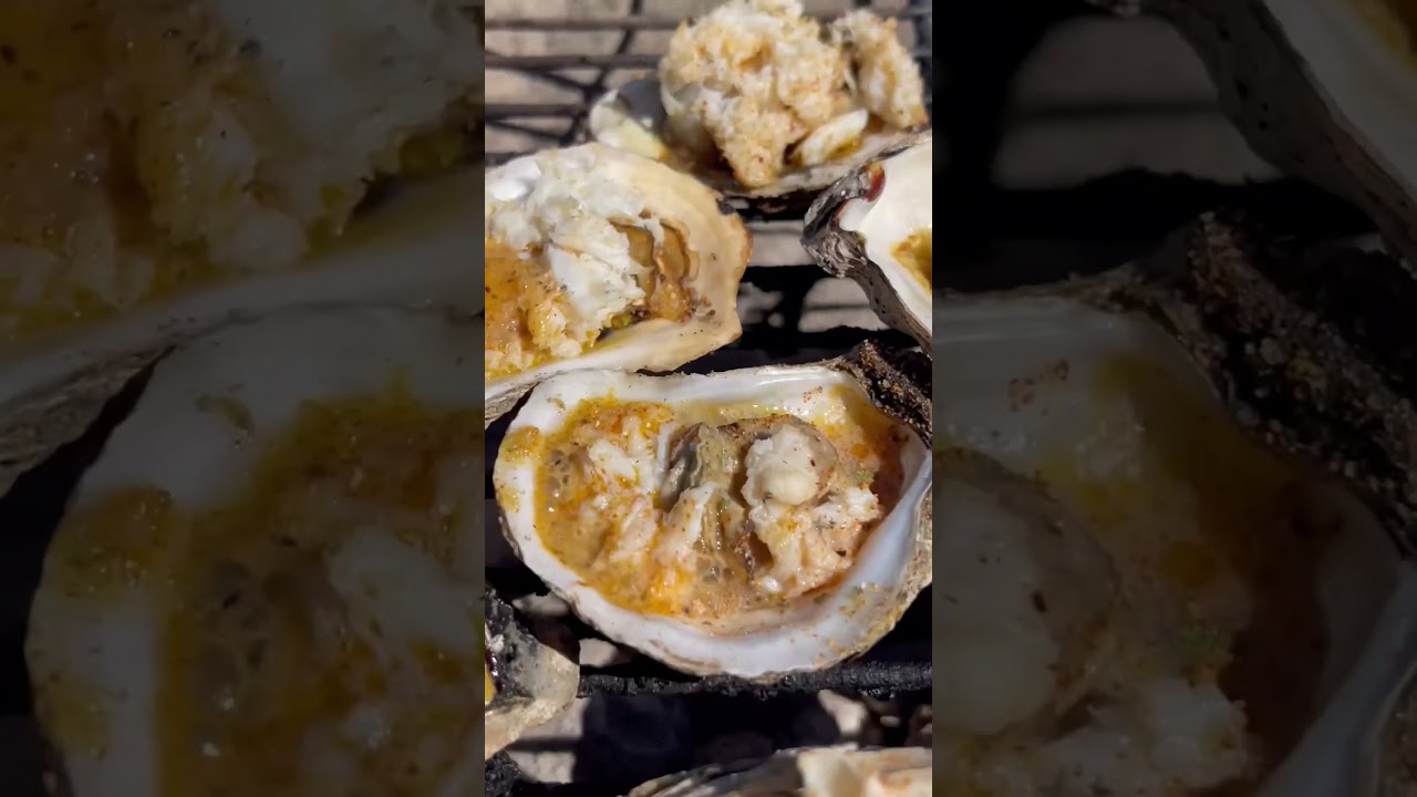 Crab Stuffed Chesapeake Bay Oysters 🔥