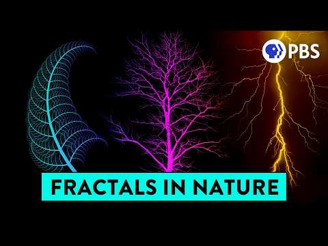 Why trees look like rivers and also blood vessels and also lightning ...