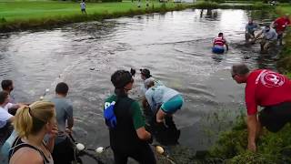 Shocking-Manatees stranded on golf course - Rescue (River Ventures)