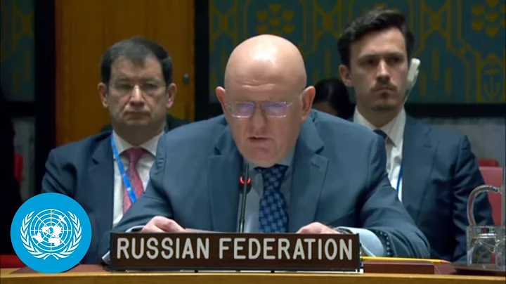 (Full) Russia Vetoes Security Council Resolution Meant to Monitor UN Sanctions in DPR Korea - DayDayNews