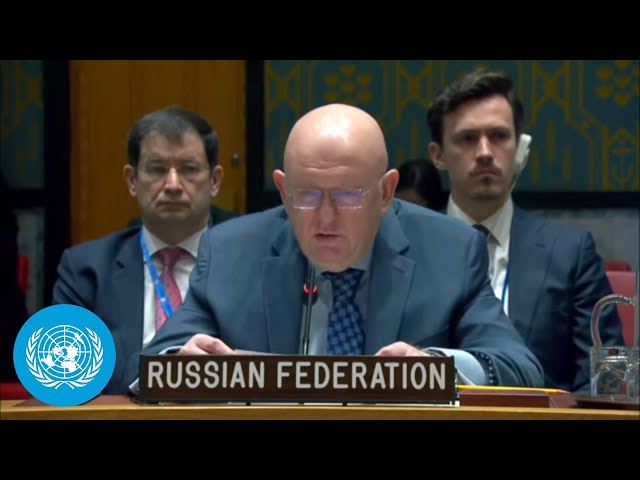 (Full) Russia Vetoes Security Council Resolution Meant to Monitor UN Sanctions in DPR of Korea