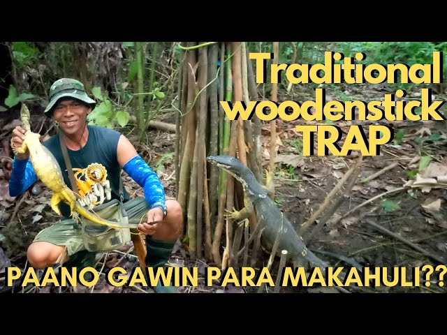 TRADITIONAL WOODEN STICK TRAP || Tutorial u0026 Catch Bayawak Hunting Part 5 || Juan Lagalag class=